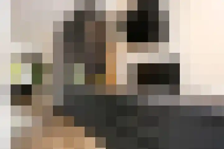 Fazantenkamp 979 Maarssen thumbnail 10