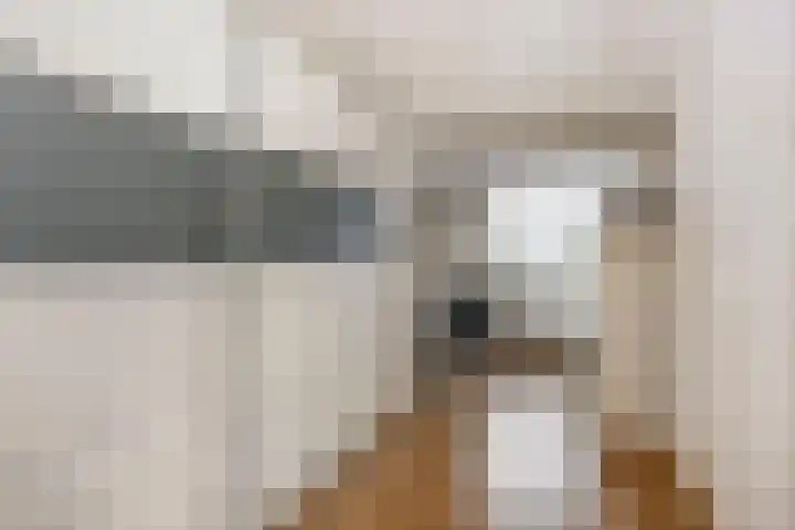 Fazantenkamp 979 Maarssen thumbnail 22
