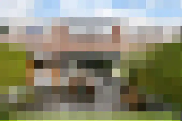 Fazantenkamp 979 Maarssen thumbnail 28