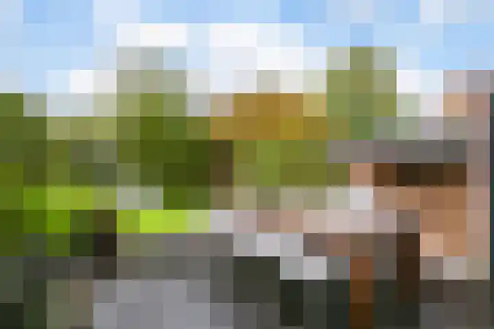 Fazantenkamp 979 Maarssen thumbnail 30