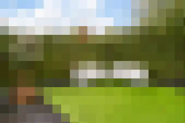 Fazantenkamp 979 Maarssen thumbnail 31