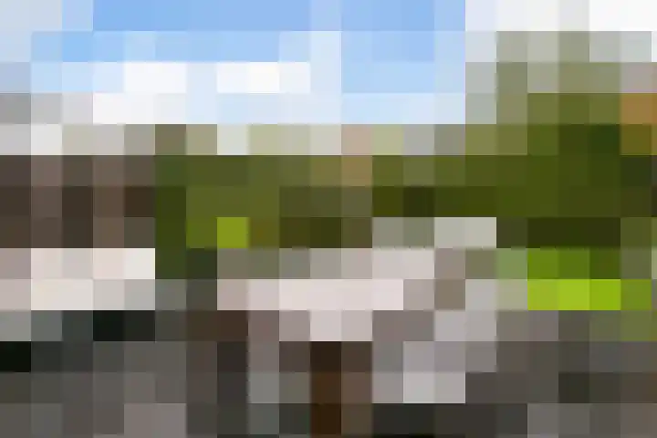 Fazantenkamp 979 Maarssen thumbnail 32
