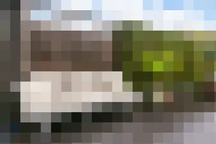 Fazantenkamp 979 Maarssen thumbnail 33