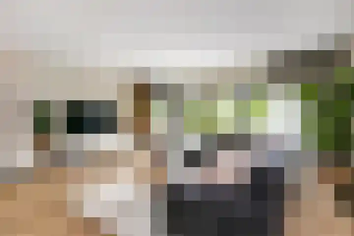 Fazantenkamp 979 Maarssen thumbnail 4