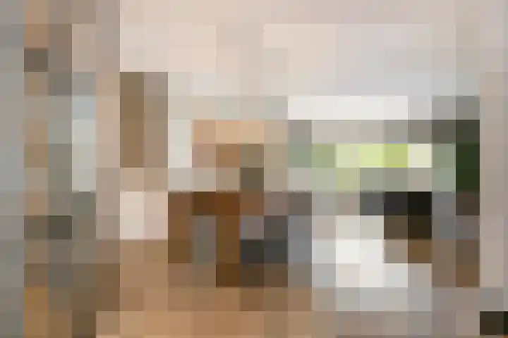 Fazantenkamp 979 Maarssen thumbnail 5