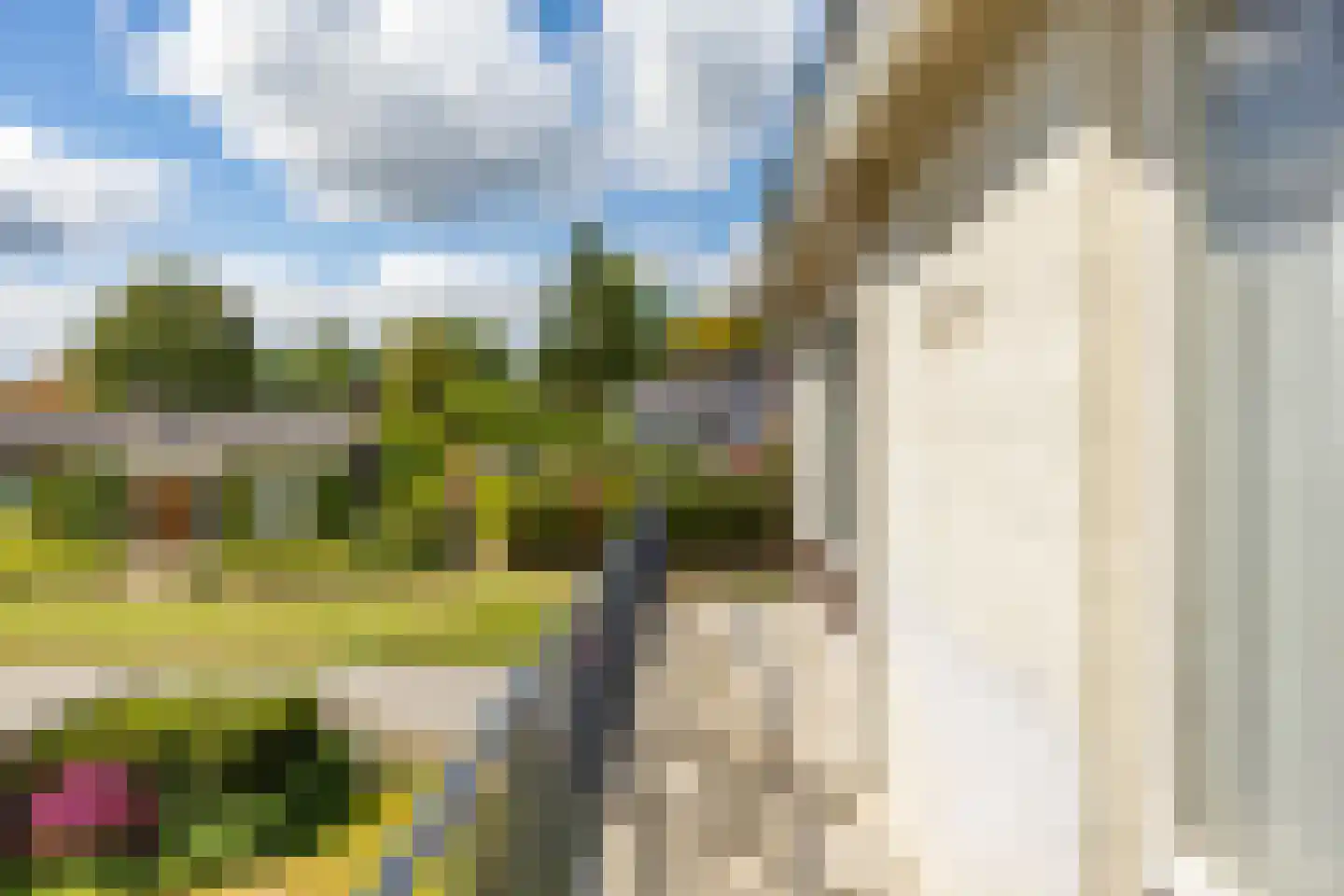 Fazantenlaan 10 Haren Gn thumbnail 33