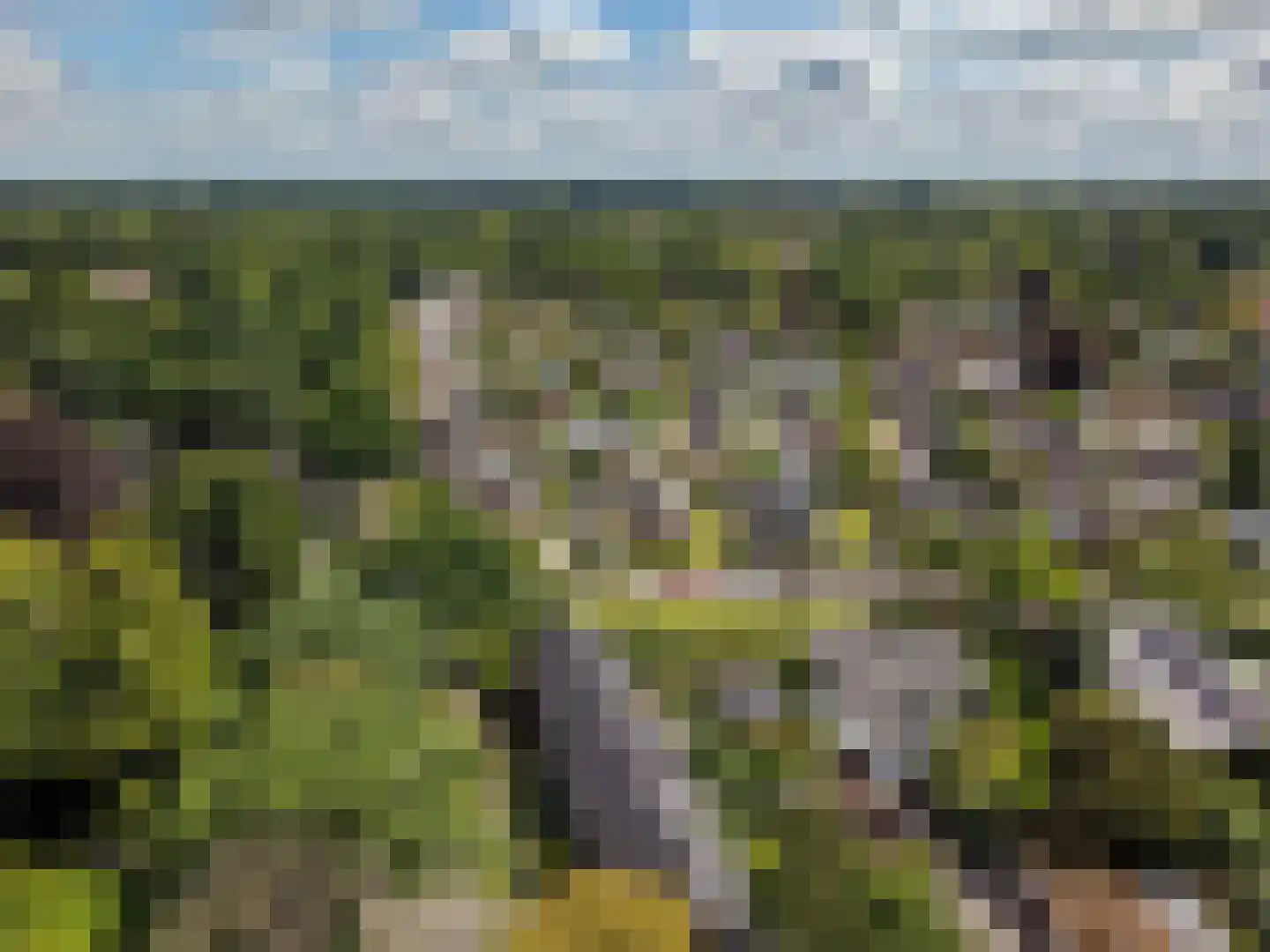 Fazantenlaan 10 Haren Gn thumbnail 46