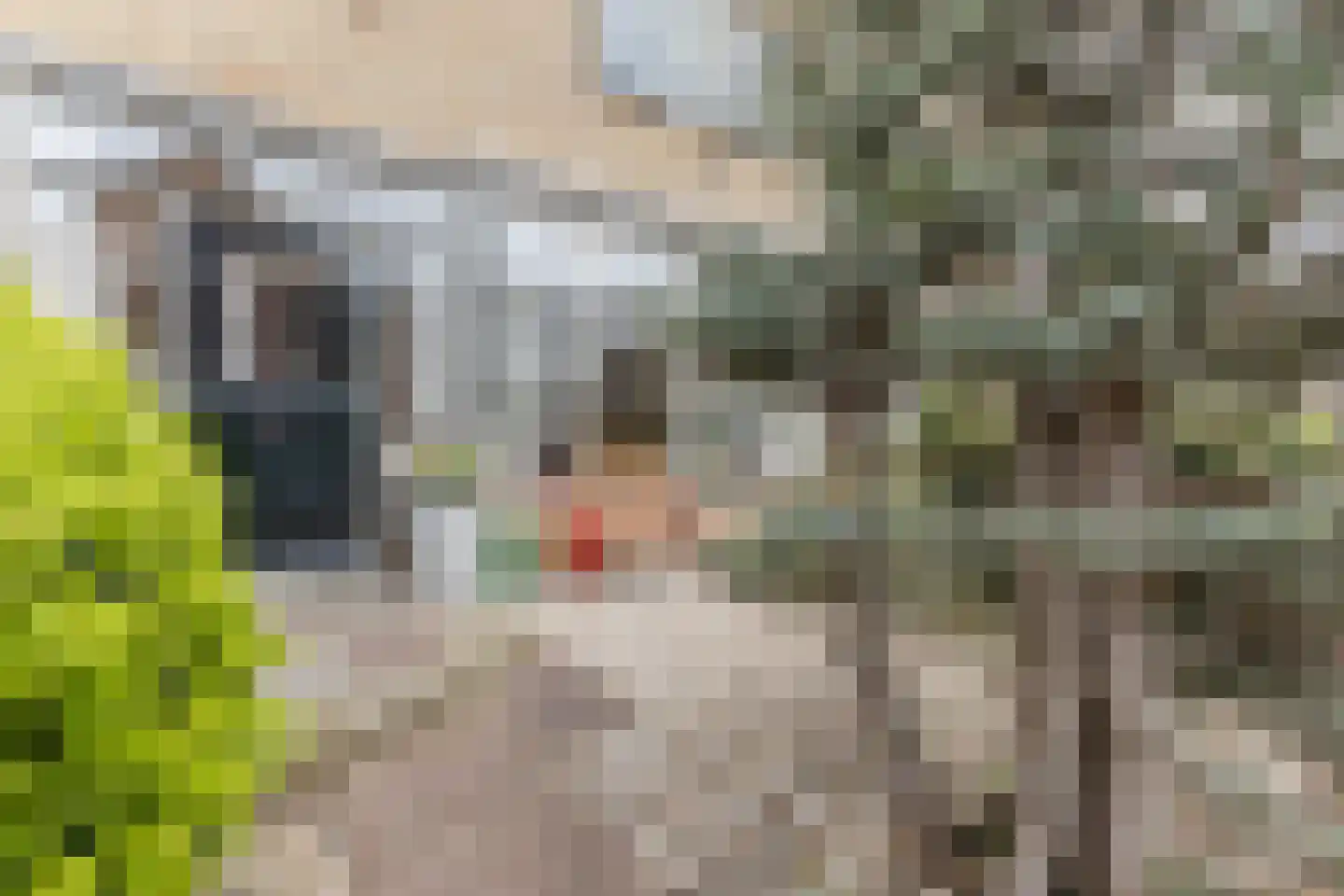 Fazantenlaan 14 Egmond-Binnen thumbnail 32