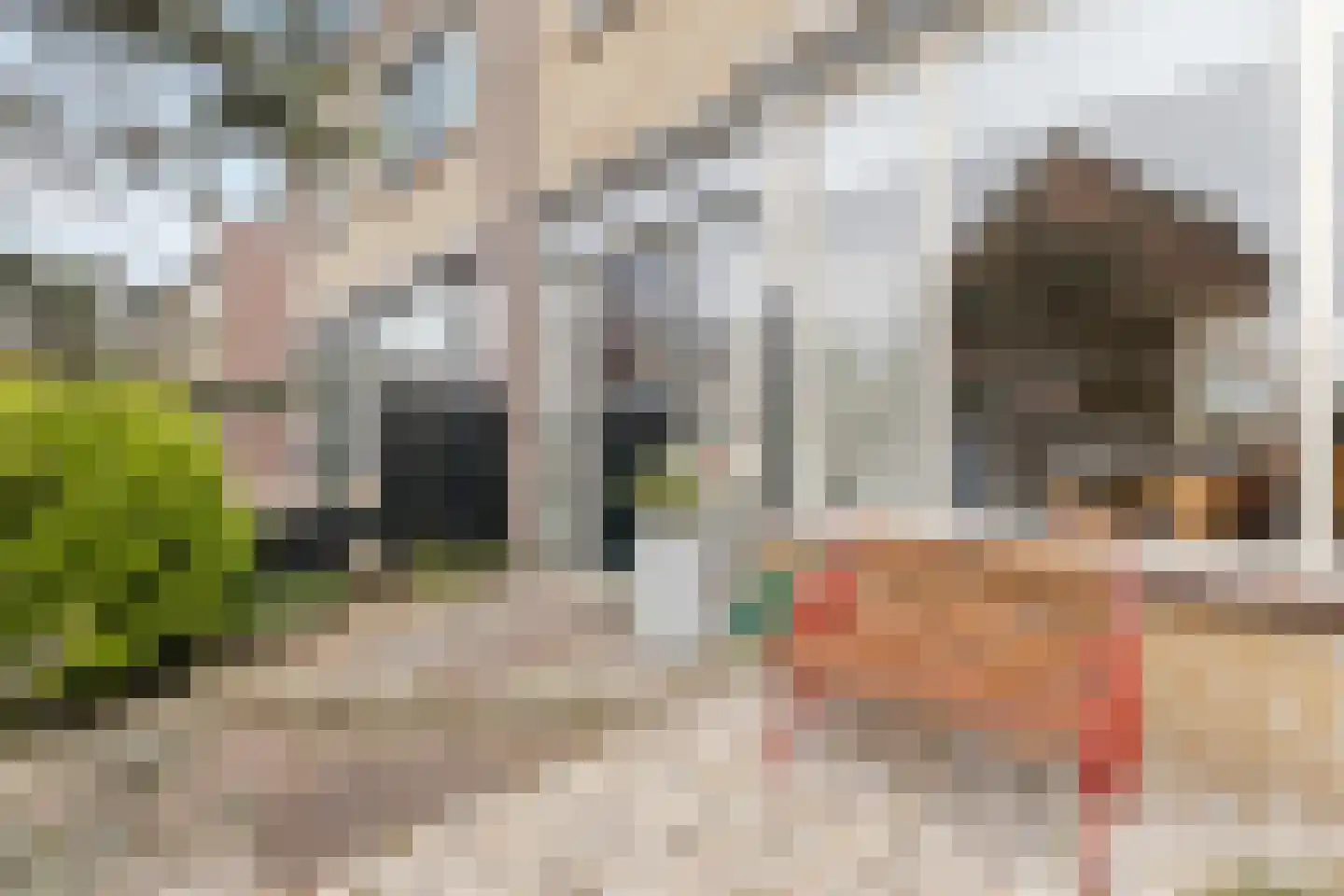 Fazantenlaan 14 Egmond-Binnen thumbnail 33