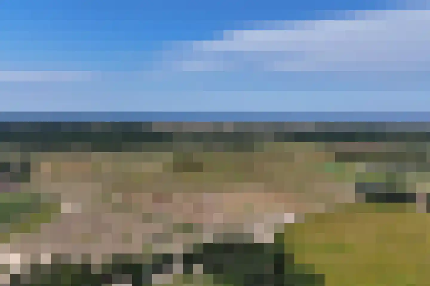 Fazantenlaan 14 Egmond-Binnen thumbnail 37