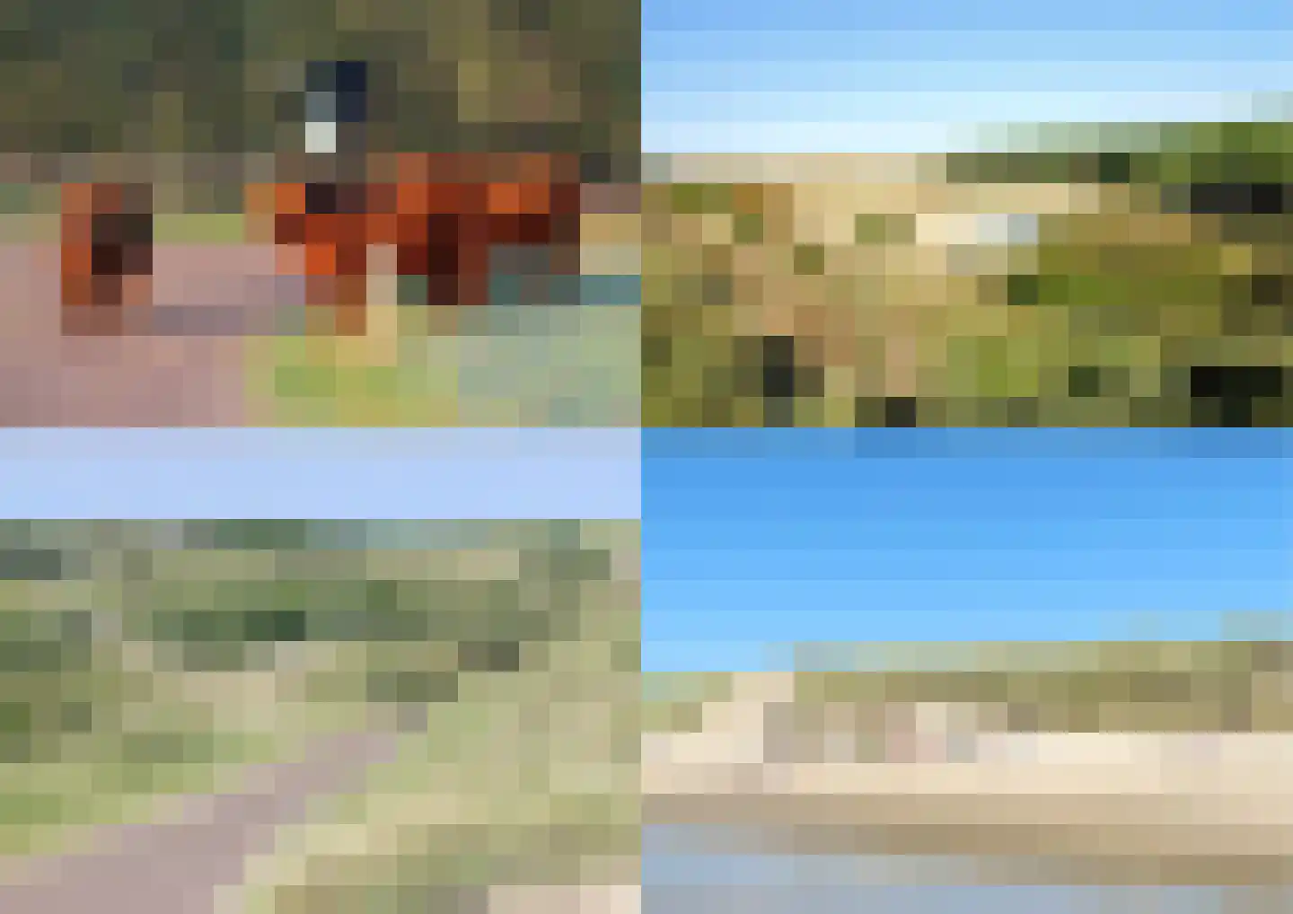 Fazantenlaan 14 Egmond-Binnen thumbnail 38