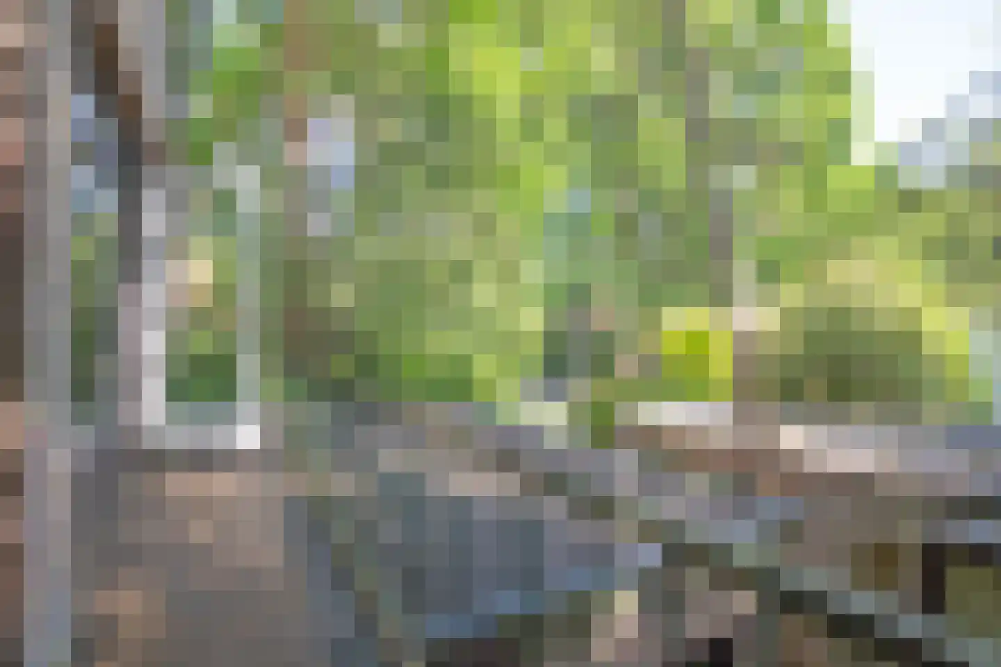 Fazantenlaan 14 Maarn thumbnail 17