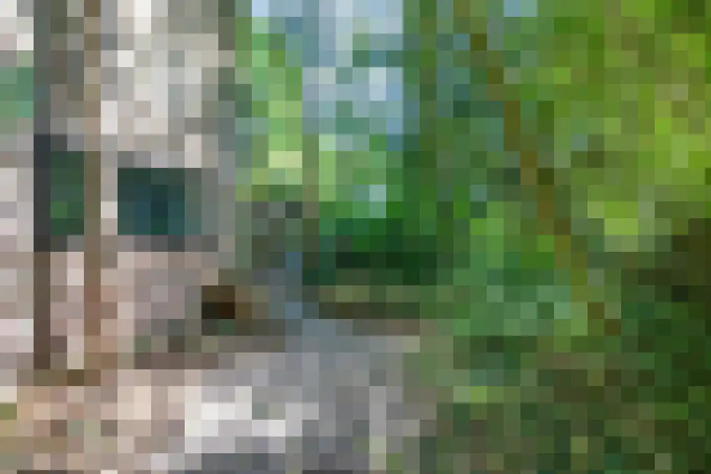 Fazantenlaan 14 Maarn thumbnail 28
