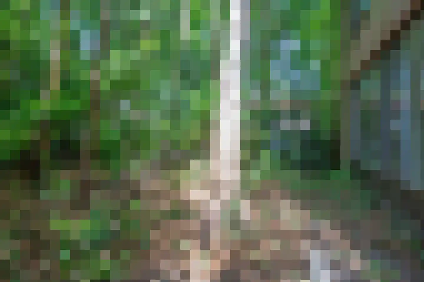 Fazantenlaan 14 Maarn thumbnail 29