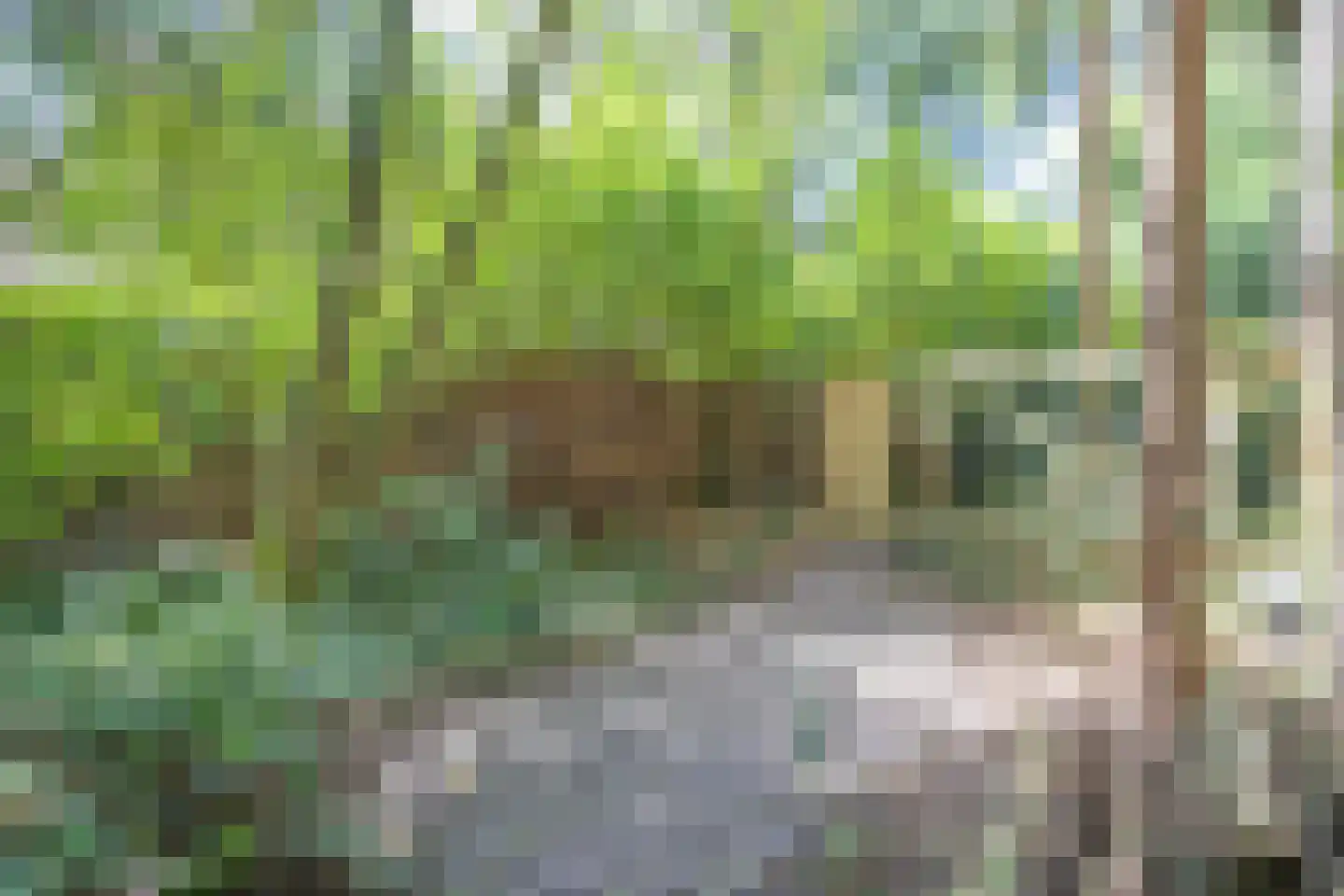 Fazantenlaan 14 Maarn thumbnail 31