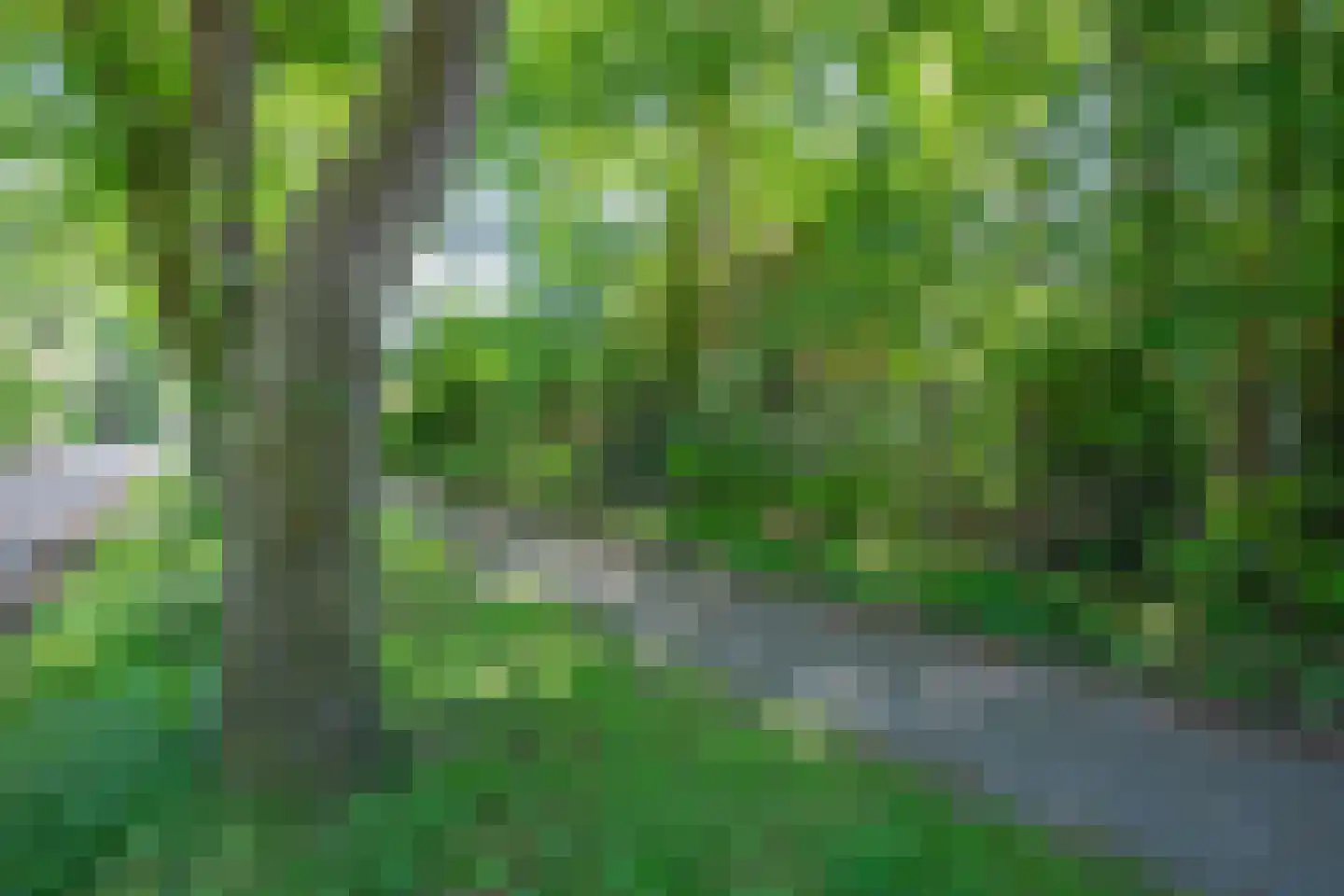 Fazantenlaan 14 Maarn thumbnail 34