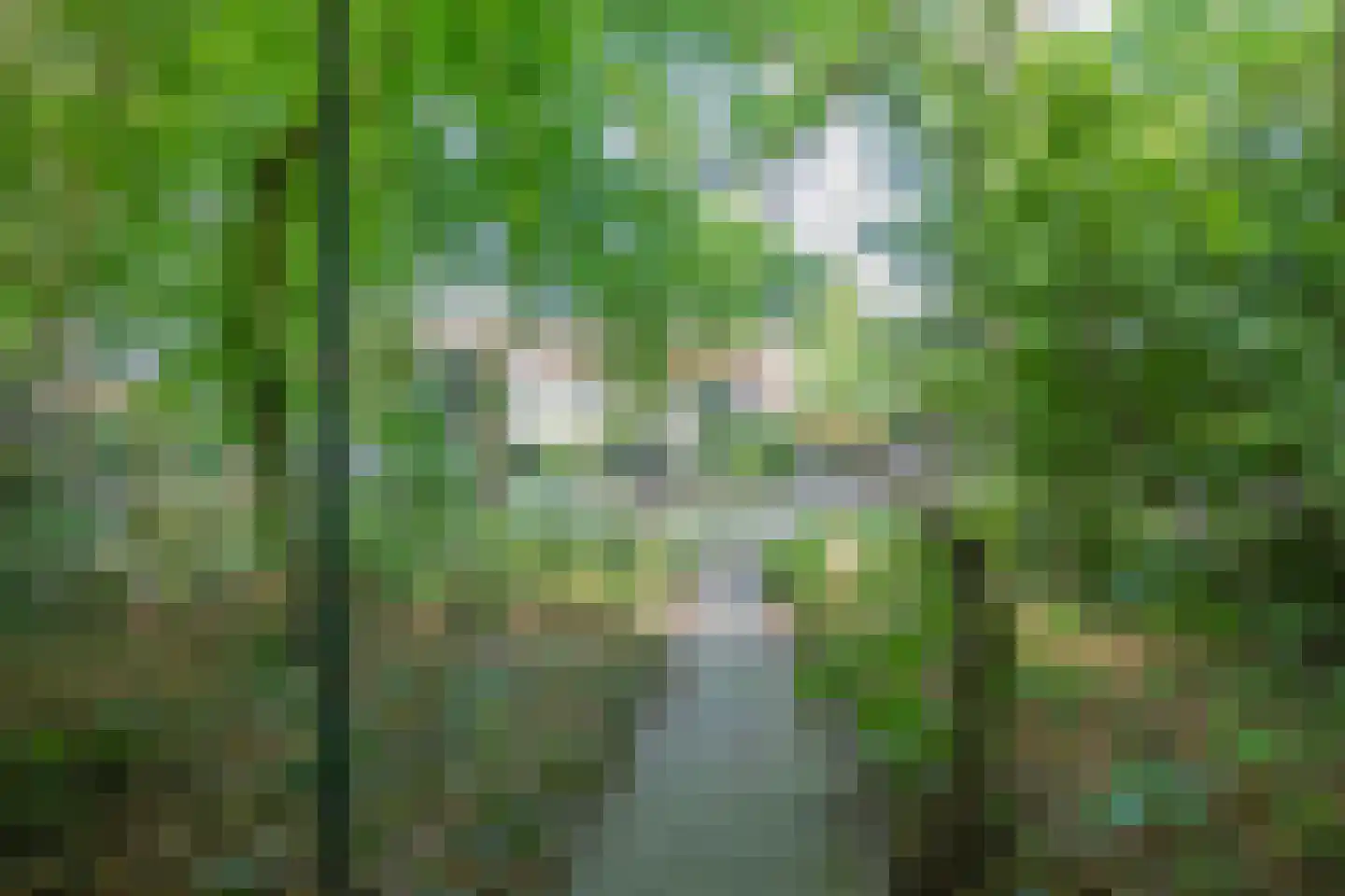 Fazantenlaan 14 Maarn thumbnail 5