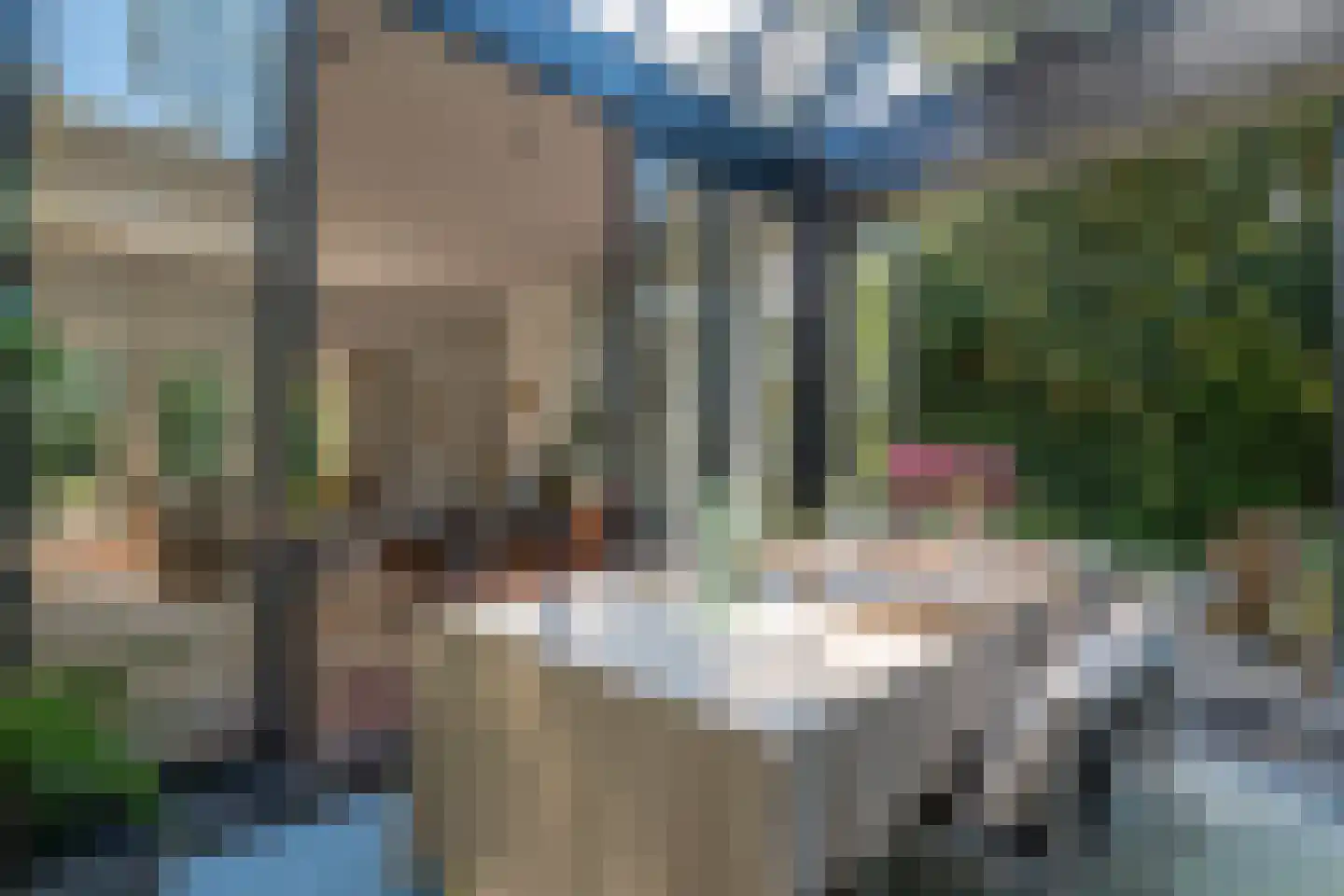 Fazantenlaan 16 Bergen aan Zee thumbnail 21