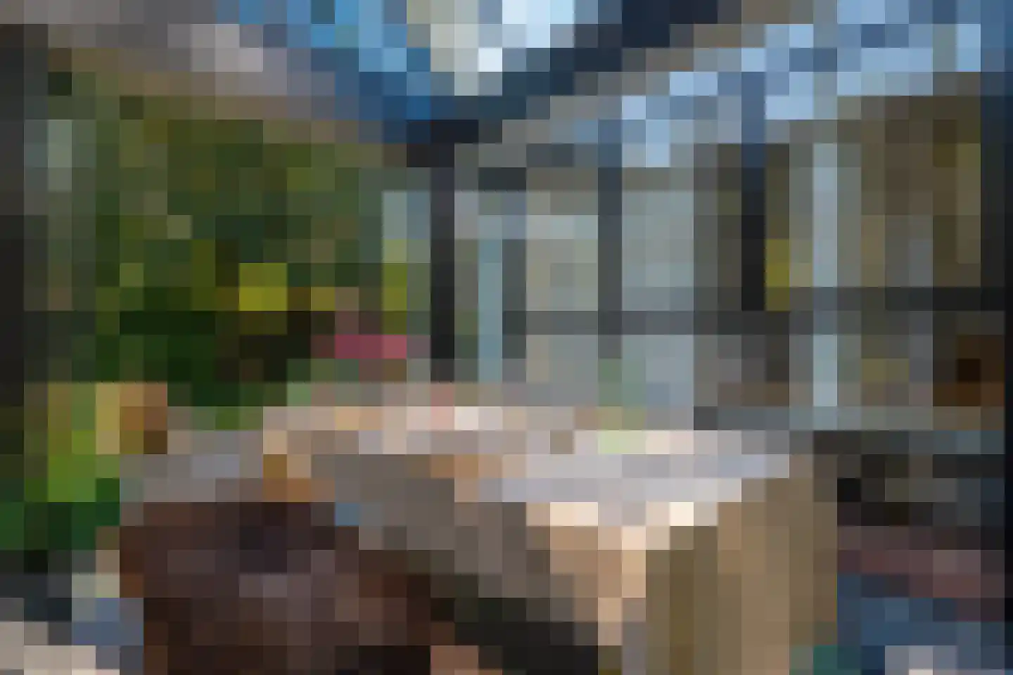 Fazantenlaan 16 Bergen aan Zee thumbnail 22