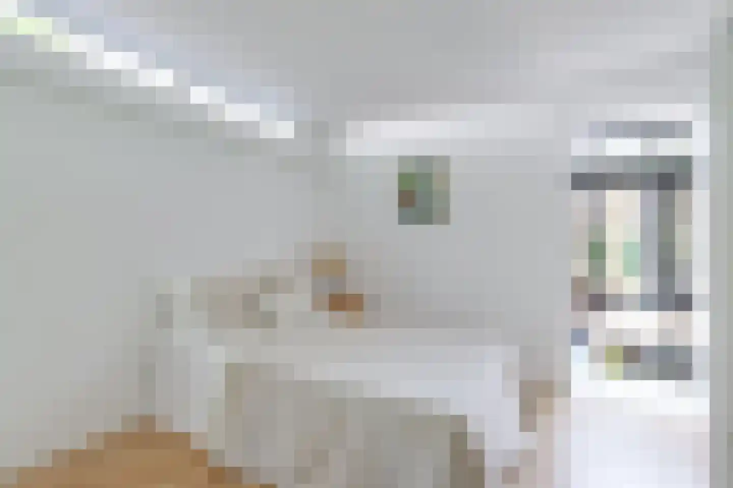 Fazantenlaan 16 Bergen aan Zee thumbnail 29