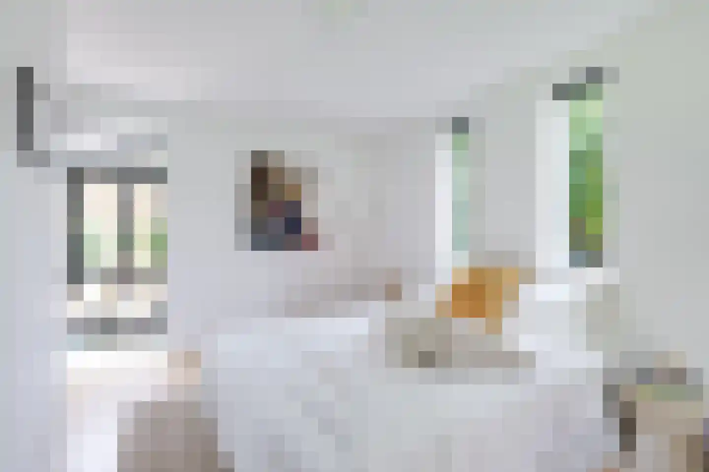 Fazantenlaan 16 Bergen aan Zee thumbnail 31