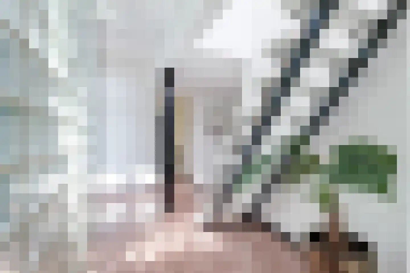 Fazantenlaan 16 Bergen aan Zee thumbnail 35