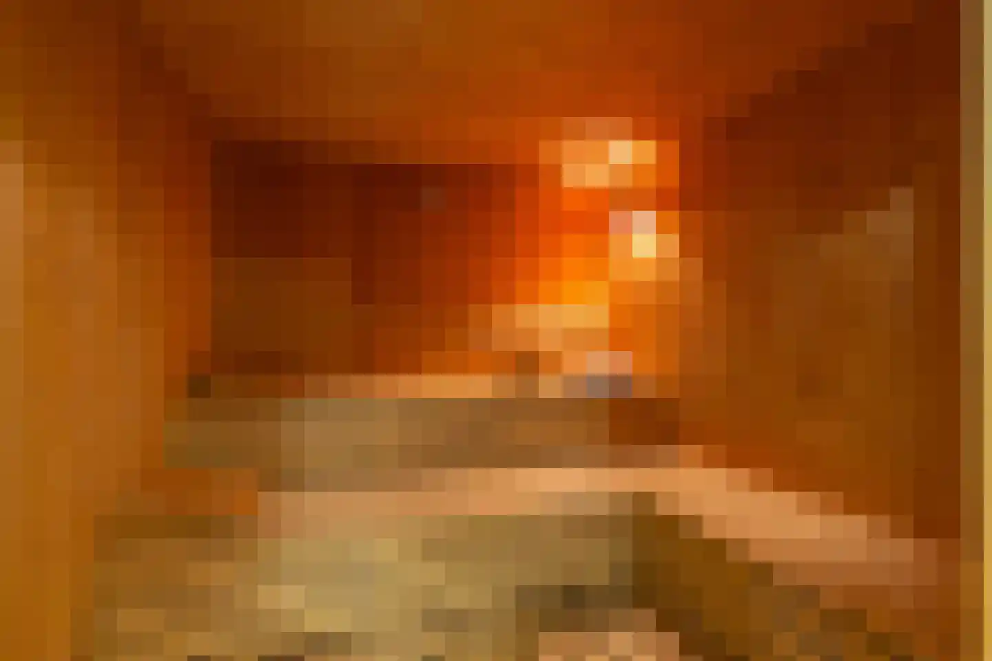 Fazantenlaan 16 Bergen aan Zee thumbnail 52