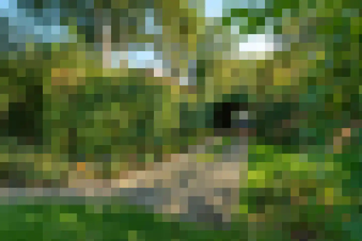 Fazantenlaan 16 Bergen aan Zee thumbnail 57