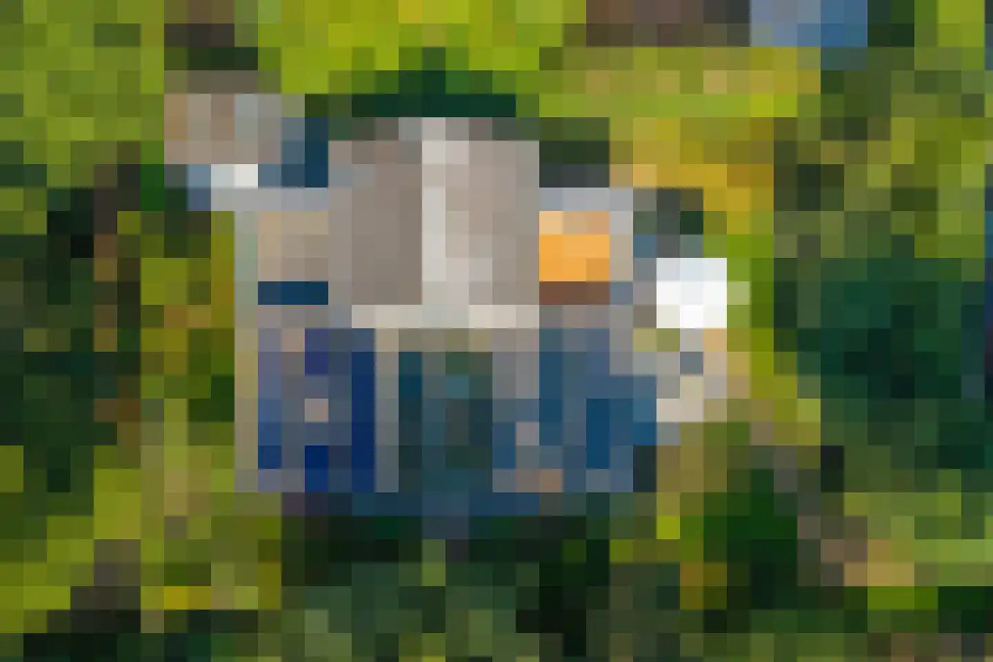 Fazantenlaan 16 Bergen aan Zee thumbnail 59