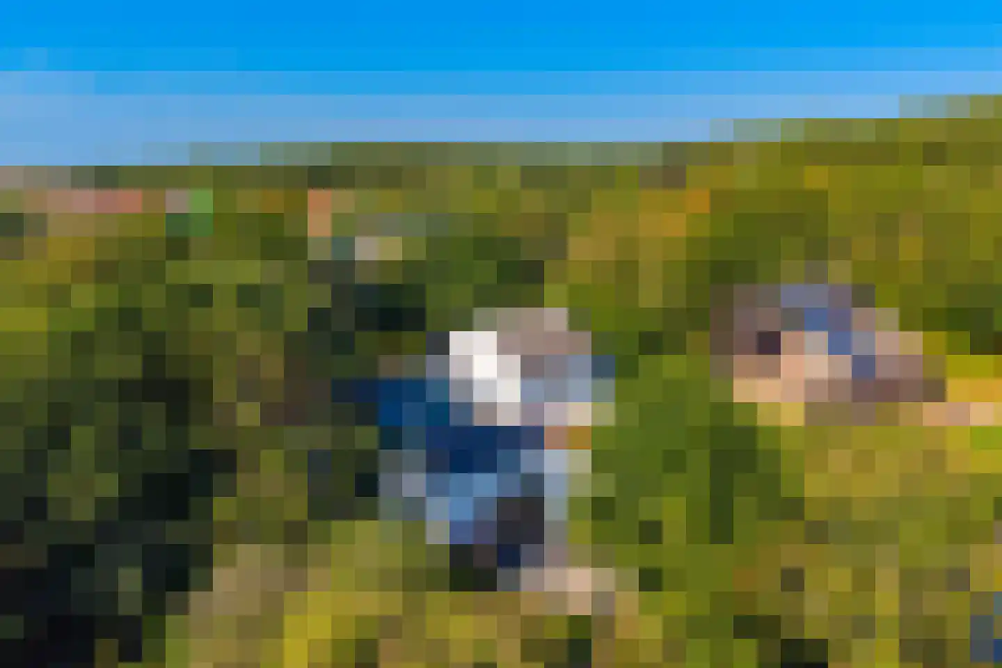 Fazantenlaan 16 Bergen aan Zee thumbnail 60
