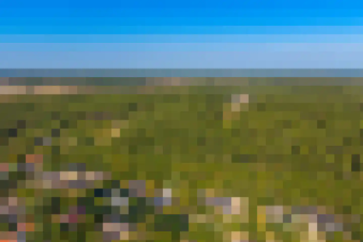 Fazantenlaan 16 Bergen aan Zee thumbnail 61