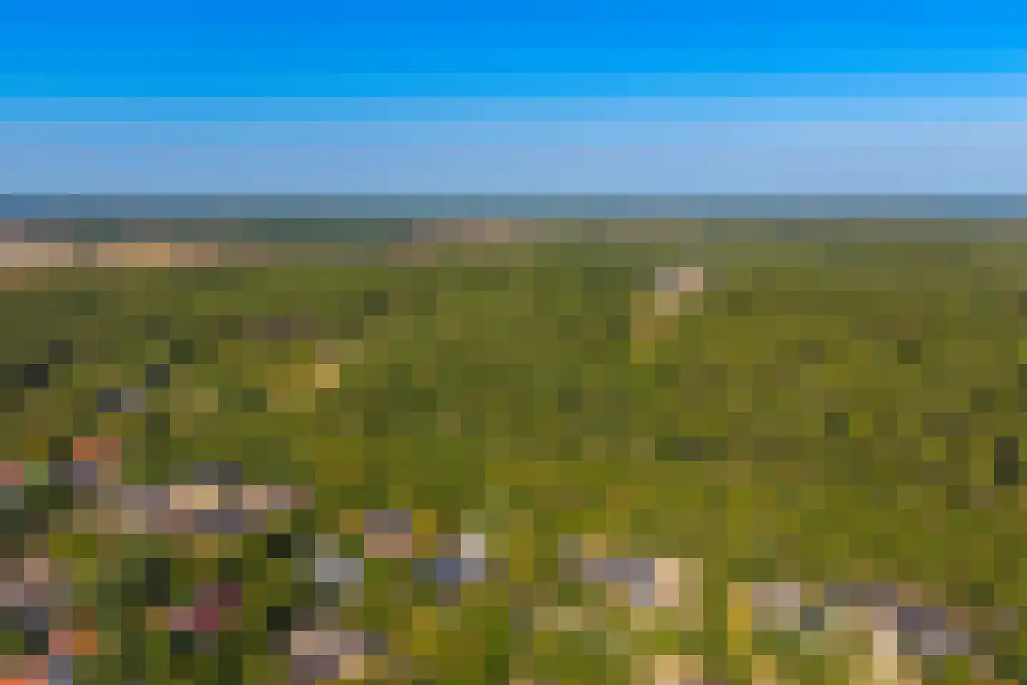 Fazantenlaan 16 Bergen aan Zee thumbnail 64