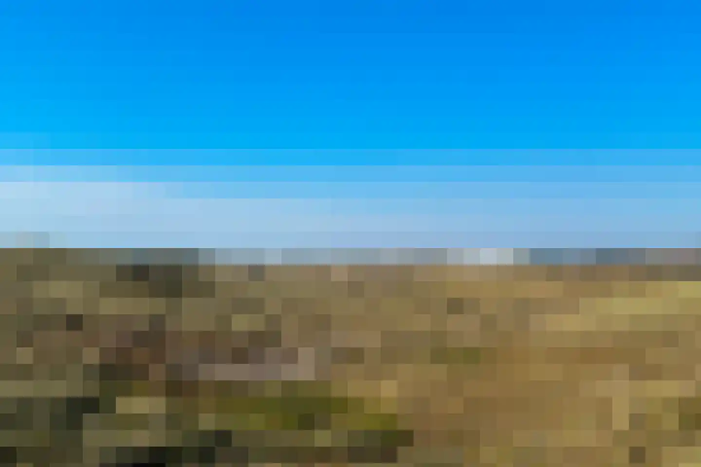 Fazantenlaan 16 Bergen aan Zee thumbnail 66