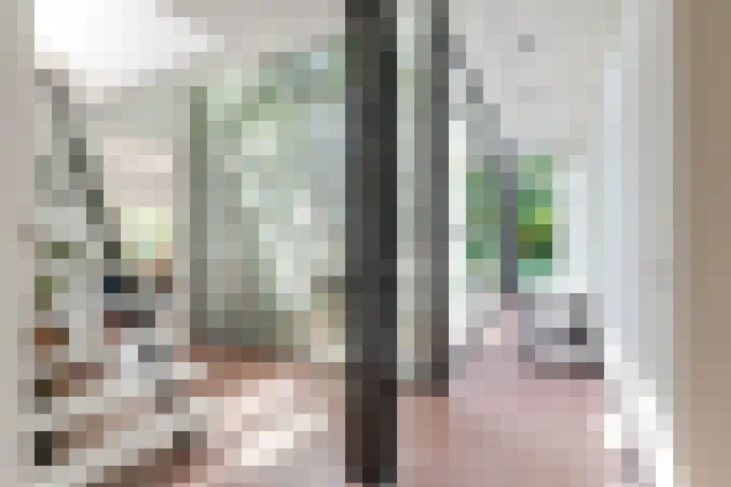 Fazantenlaan 16 Bergen aan Zee thumbnail 7