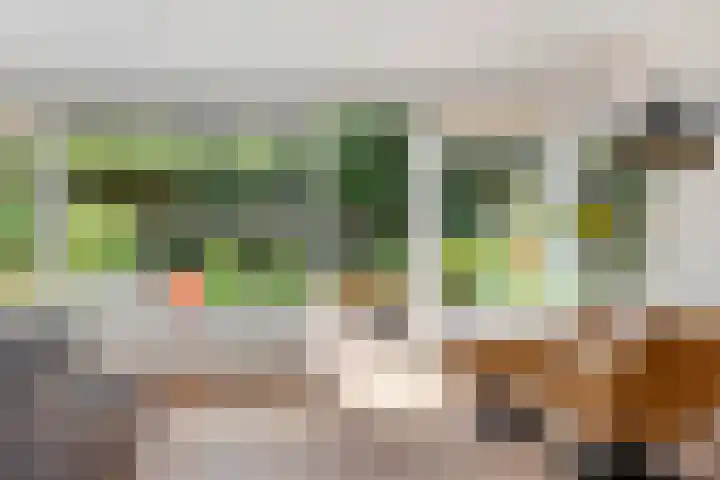 Fazantenlaan 16 Doorwerth thumbnail 10