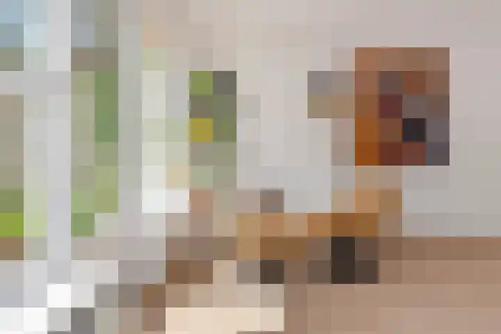 Fazantenlaan 16 Doorwerth thumbnail 13
