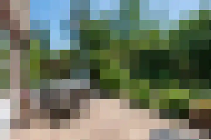 Fazantenlaan 16 Doorwerth thumbnail 44