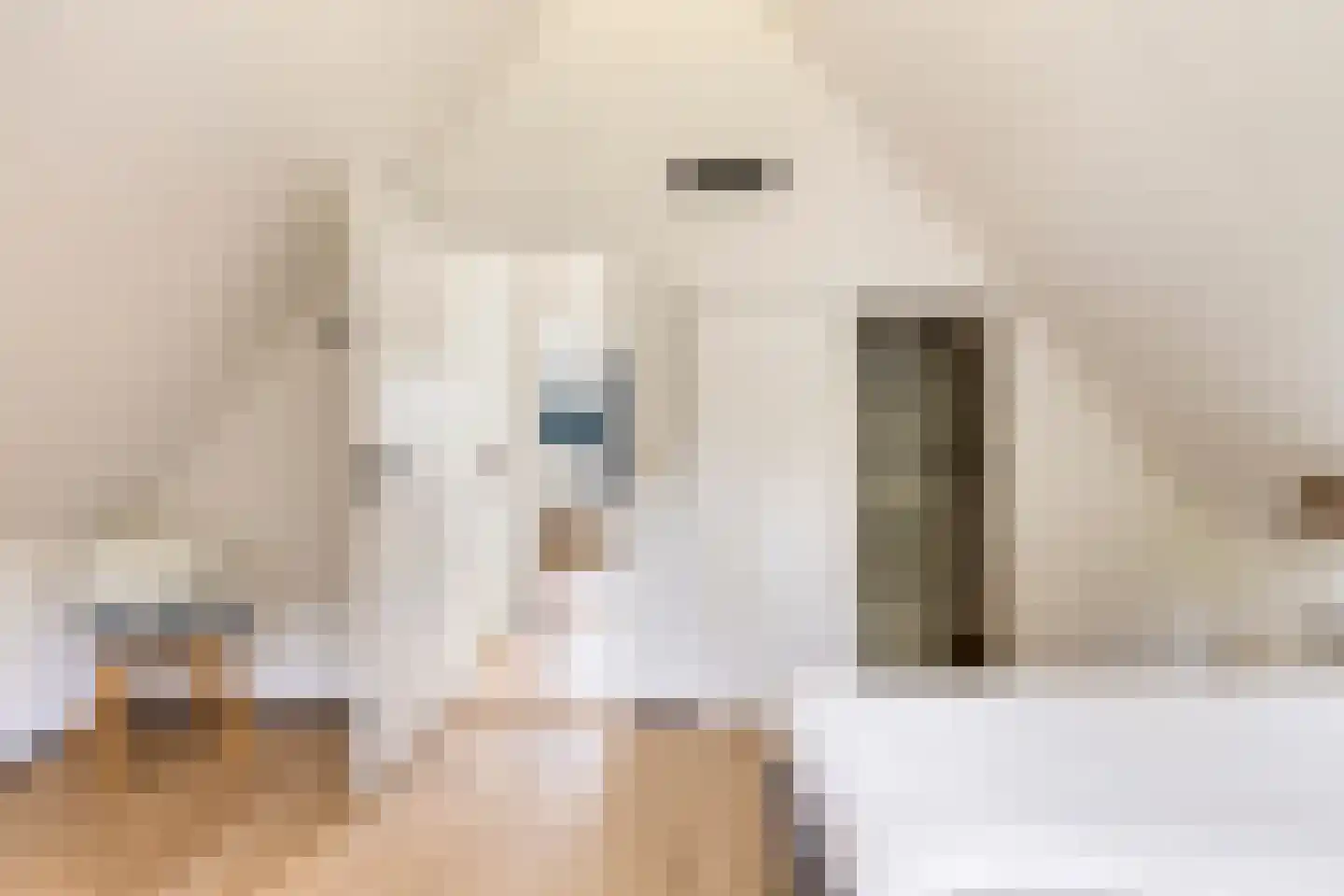Fazantenlaan 2 a Kamperland thumbnail 28