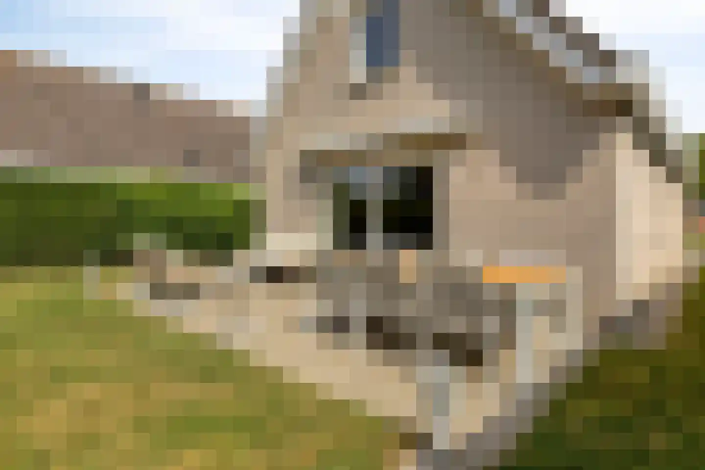 Fazantenlaan 2 a Kamperland thumbnail 36