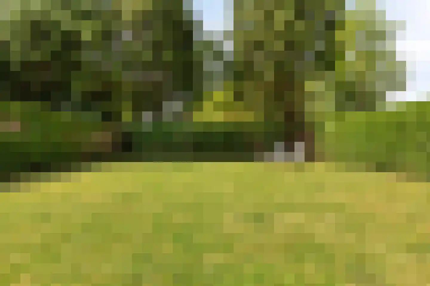 Fazantenlaan 2 a Kamperland thumbnail 37