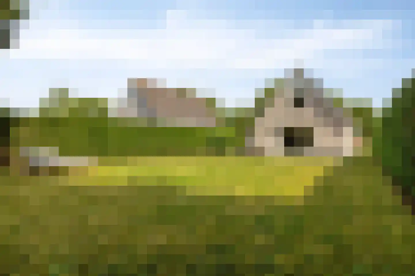 Fazantenlaan 2 a Kamperland thumbnail 38
