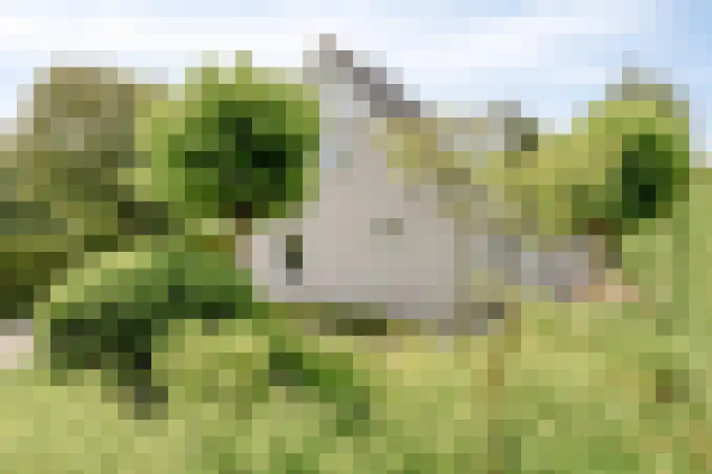 Fazantenlaan 2 a Kamperland thumbnail 43