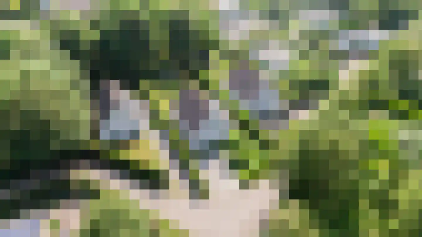 Fazantenlaan 2 a Kamperland thumbnail 44