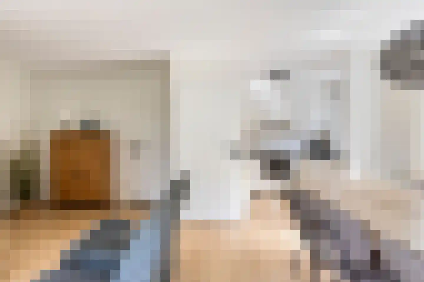 Fazantenlaan 2 a Kamperland thumbnail 9