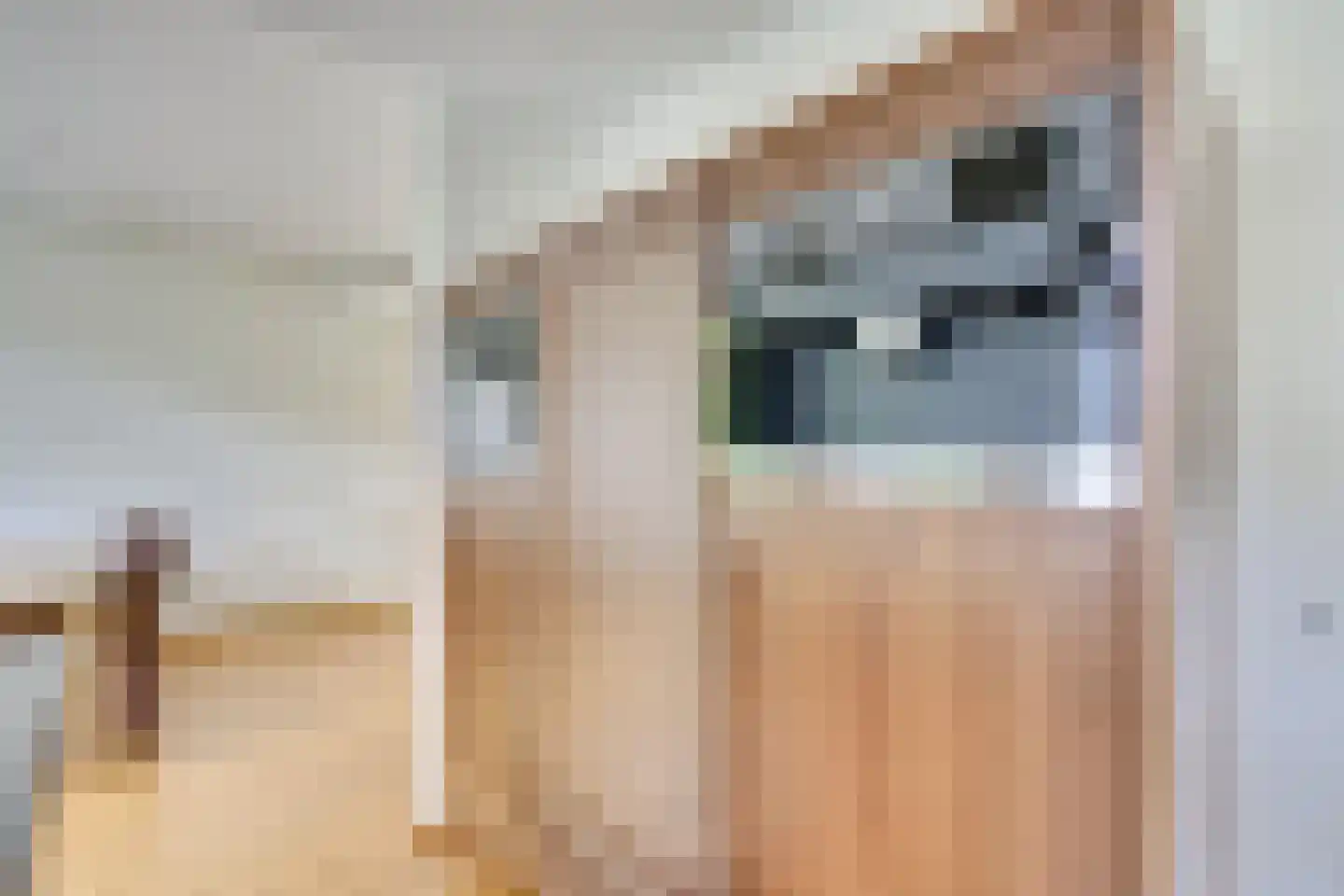 Fazantenlaan 2 Maarn thumbnail 12