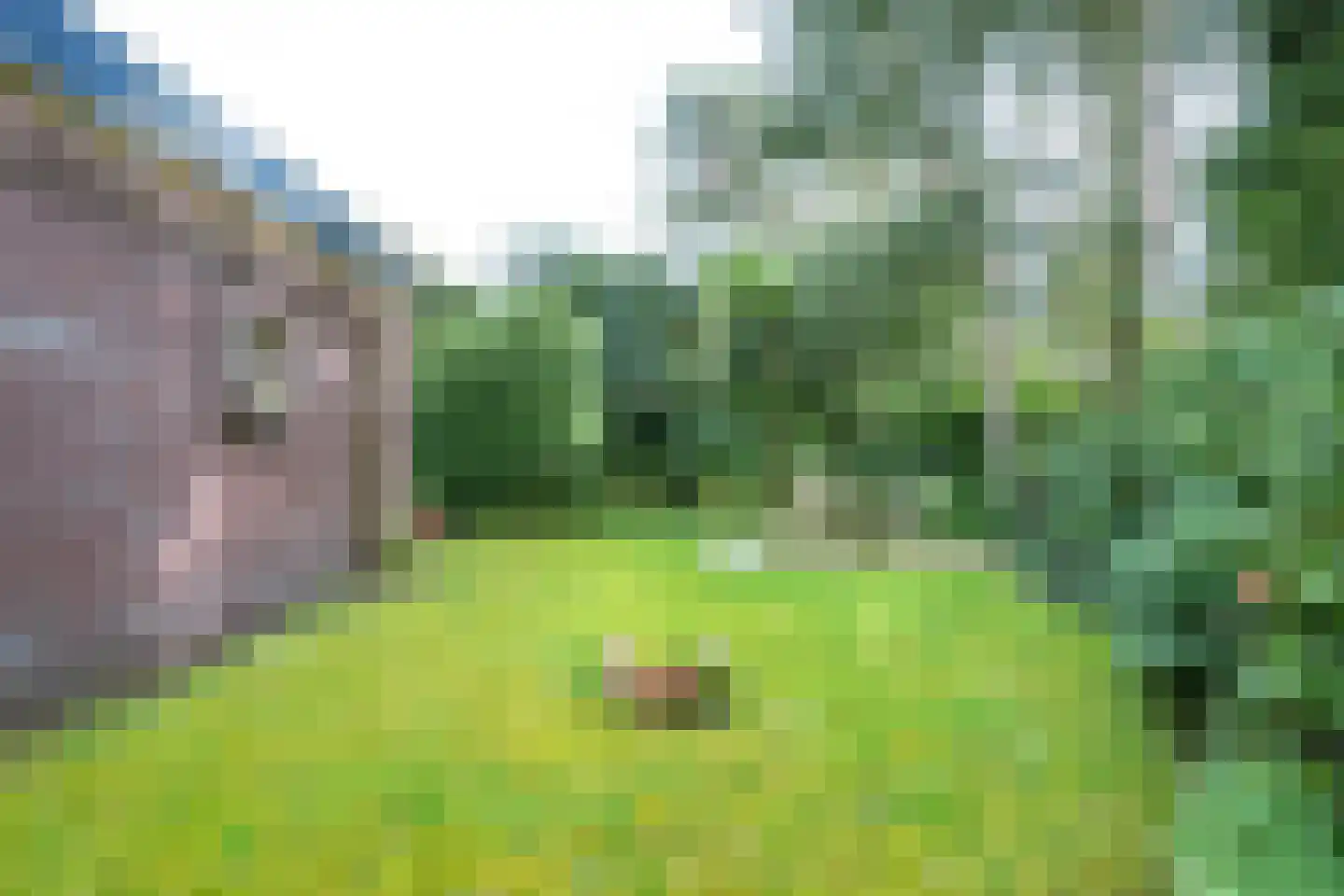 Fazantenlaan 2 Maarn thumbnail 34