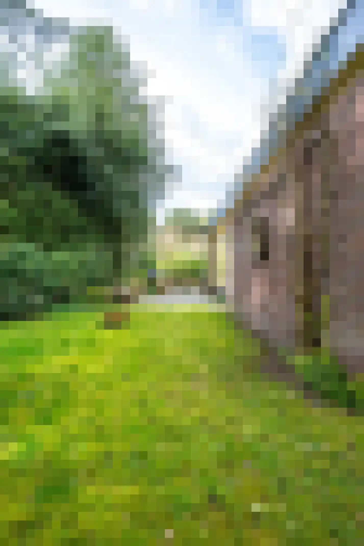 Fazantenlaan 2 Maarn thumbnail 36