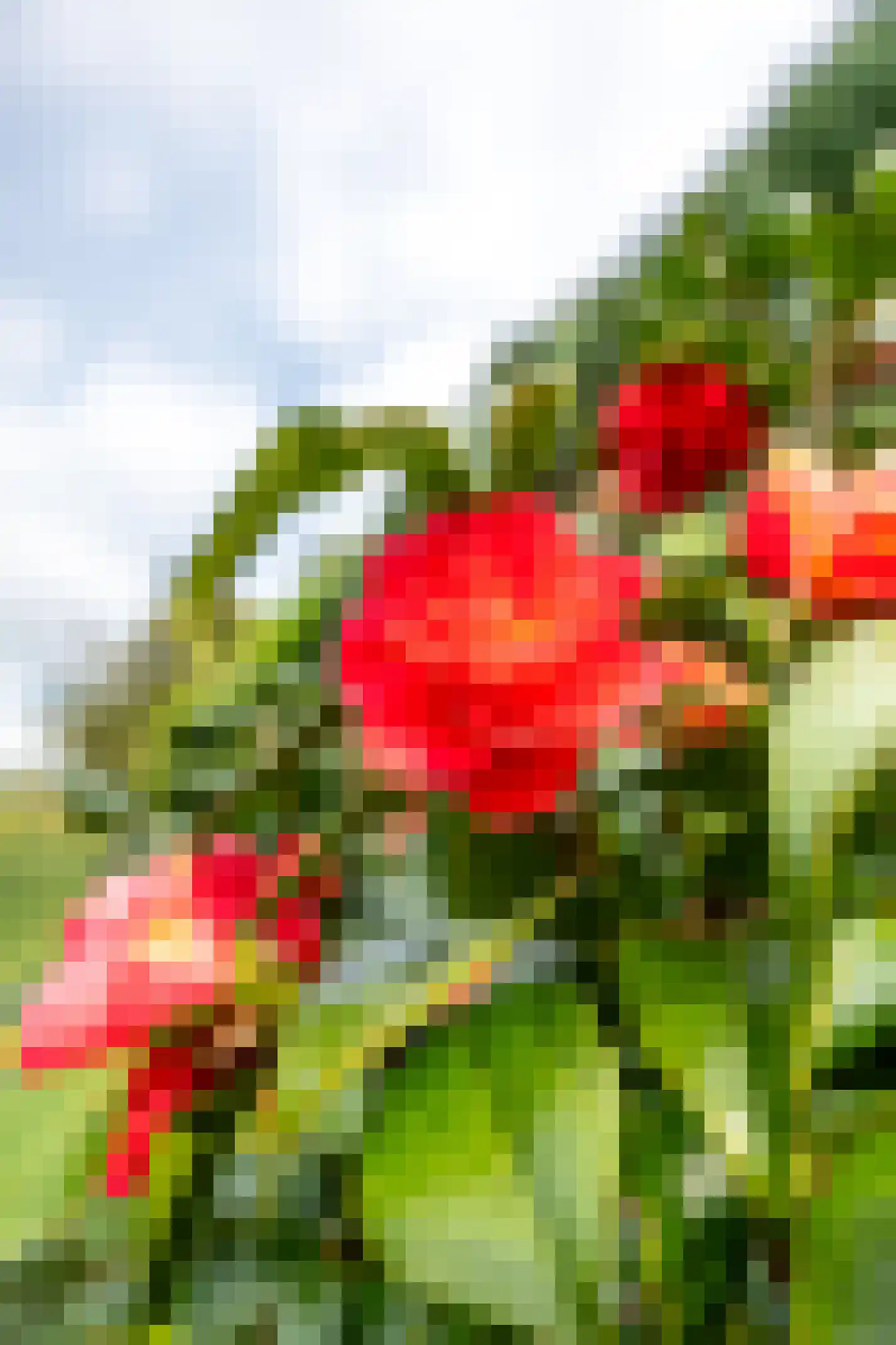 Fazantenlaan 2 Maarn thumbnail 37