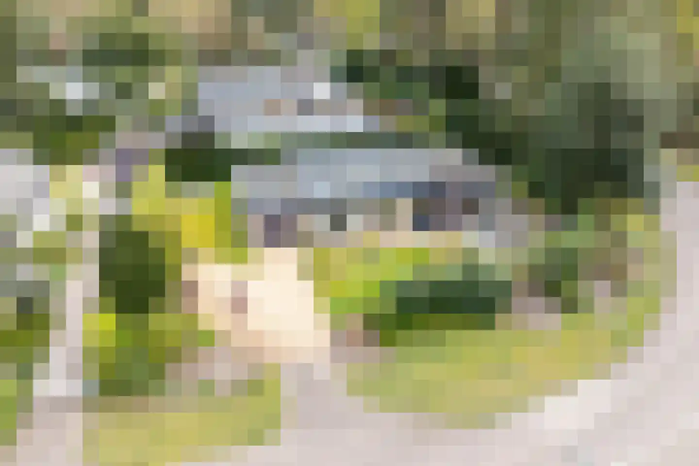 Fazantenlaan 2 Maarn thumbnail 38