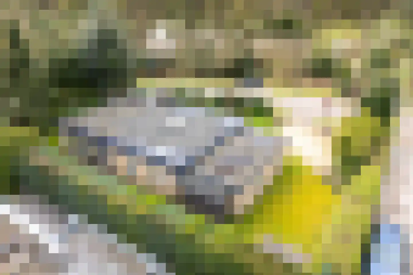 Fazantenlaan 2 Maarn thumbnail 40